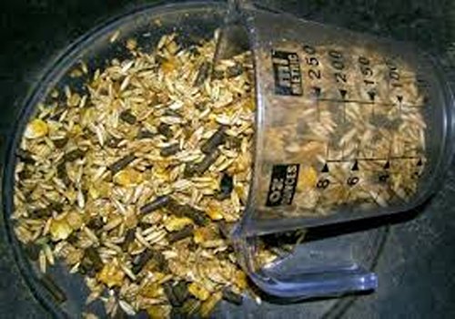 خرید و قیمت کنسانتره آجیلی اسب + فروش عمده 6